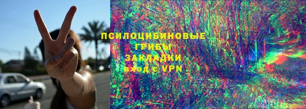 ГАЛЛЮЦИНОГЕННЫЕ ГРИБЫ Аркадак