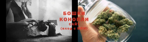 ГАЛЛЮЦИНОГЕННЫЕ ГРИБЫ Аркадак