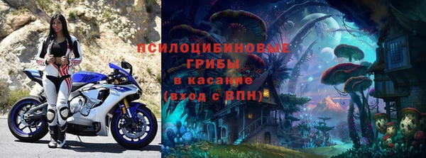 трава Армянск