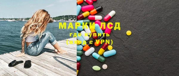 ГАЛЛЮЦИНОГЕННЫЕ ГРИБЫ Аркадак