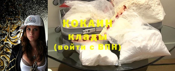 ГАЛЛЮЦИНОГЕННЫЕ ГРИБЫ Аркадак