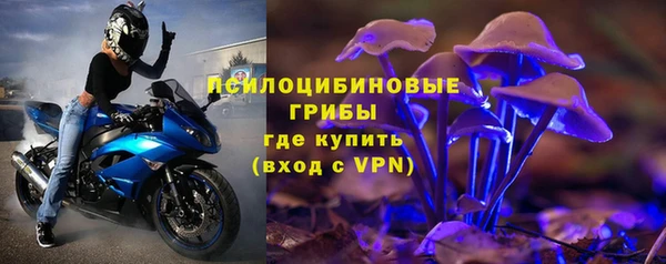 амф Арсеньев