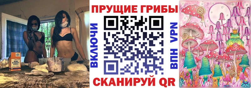Галлюциногенные грибы мицелий  цена   Приозерск 